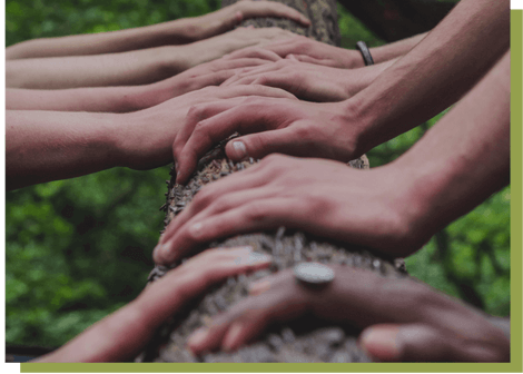 five pairs of hands of different skin tones all touching a tree log to signify community and inclusivity and accessibility